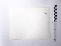 黃則修攝野柳地景藏品圖，第2張