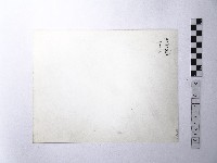 黃則修攝野柳地景藏品圖，第2張