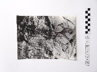 黃則修攝野柳地景藏品圖，第1張