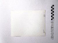 黃則修攝野柳地景藏品圖，第2張