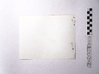 黃則修攝野柳地景藏品圖，第2張