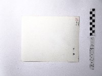 黃則修攝野柳地景藏品圖，第2張