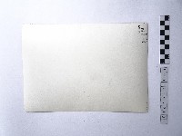 黃則修攝野柳地景藏品圖，第2張