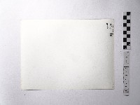 黃則修攝野柳地景藏品圖，第2張