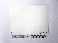 黃則修攝野柳地景藏品圖，第2張