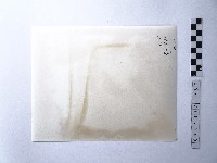 黃則修攝野柳地景藏品圖，第2張