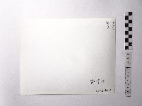 黃則修攝野柳地景藏品圖，第2張