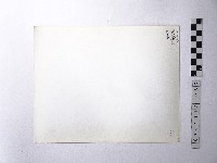 黃則修攝野柳地景藏品圖，第2張