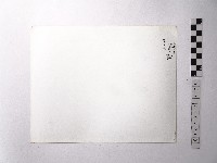 黃則修攝野柳地景藏品圖，第2張