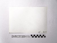 黃則修攝野柳地景藏品圖，第2張