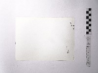 黃則修攝野柳地景藏品圖，第2張