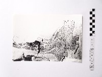 黃則修攝野柳地景黑面觀音藏品圖，第1張