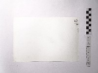 黃則修攝野柳地景黑面觀音藏品圖，第2張