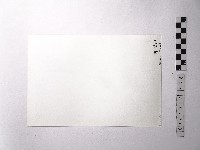 黃則修攝野柳地景黑面觀音藏品圖，第2張