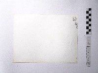 黃則修攝野柳地景藏品圖，第2張