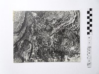 黃則修攝野柳地景藏品圖，第1張