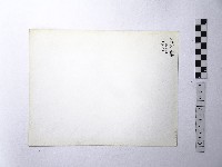 黃則修攝野柳地景藏品圖，第2張