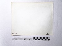 黃則修攝野柳地景藏品圖，第2張