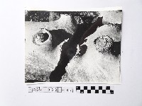 黃則修攝野柳地景藏品圖，第1張