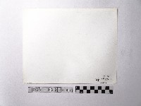 黃則修攝野柳地景藏品圖，第2張