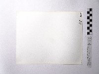 黃則修攝野柳地景藏品圖，第2張