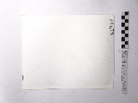 黃則修攝野柳地景藏品圖，第2張