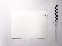 黃則修攝野柳地景藏品圖，第2張