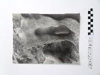 黃則修攝野柳地景藏品圖，第1張