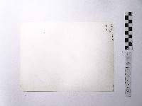 黃則修攝野柳地景藏品圖，第2張