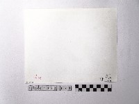 黃則修攝野柳地景藏品圖，第2張