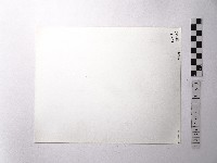 黃則修攝野柳地景藏品圖，第2張