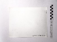 黃則修攝野柳地景藏品圖，第2張