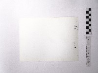 黃則修攝野柳地景藏品圖，第2張