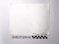 黃則修攝野柳地景藏品圖，第2張