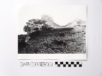 黃則修攝野柳地景藏品圖，第1張