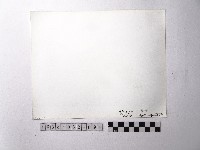 黃則修攝野柳地景藏品圖，第2張