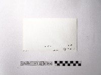 黃則修攝野柳地景藏品圖，第2張