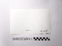 黃則修攝野柳地景藏品圖，第2張