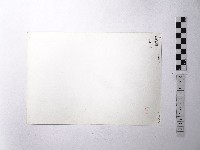 黃則修攝野柳地景藏品圖，第2張