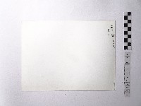 黃則修攝野柳地景藏品圖，第2張