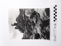 黃則修攝野柳地景藏品圖，第1張