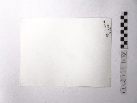 黃則修攝野柳地景藏品圖，第2張