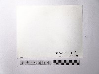 黃則修攝野柳地景藏品圖，第2張