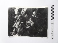 黃則修攝野柳地景藏品圖，第1張