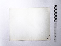 黃則修攝野柳地景藏品圖，第2張