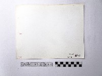 黃則修攝野柳地景藏品圖，第2張