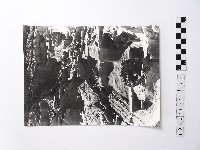 黃則修攝野柳地景藏品圖，第1張