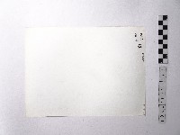 黃則修攝野柳地景藏品圖，第2張