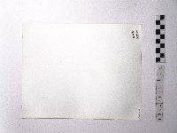 黃則修攝野柳地景藏品圖，第2張