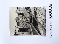 黃則修攝牛車藏品圖，第1張